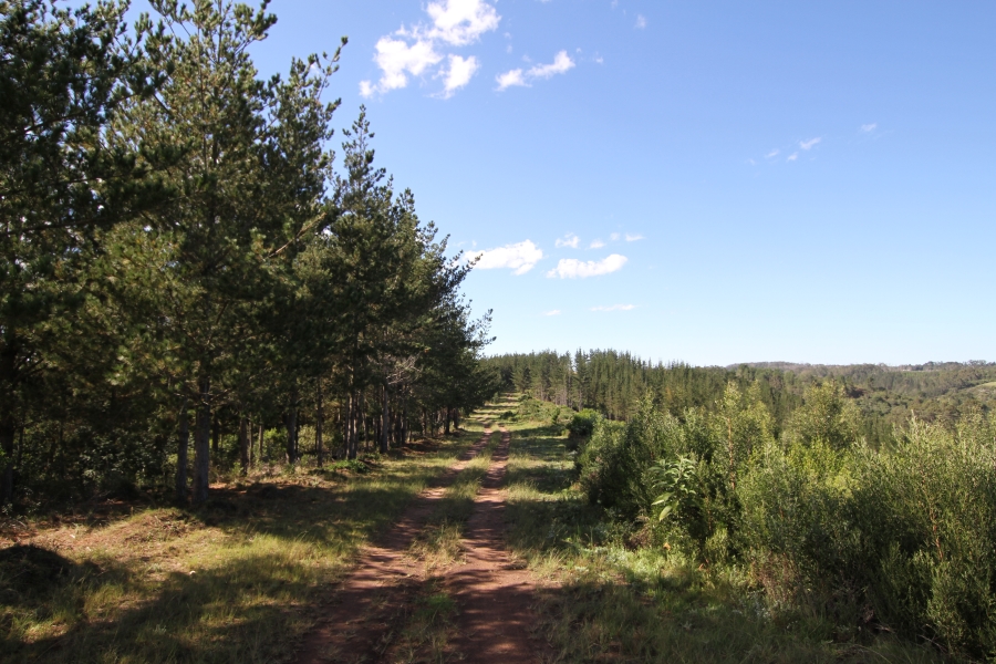 0 Bedroom Property for Sale in Plettenberg Bay Rural Western Cape